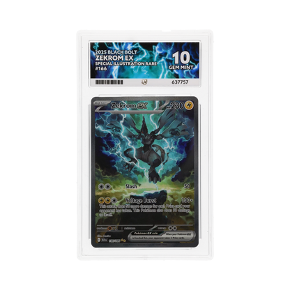 ACE 10 Zekrom ex 166 SIR